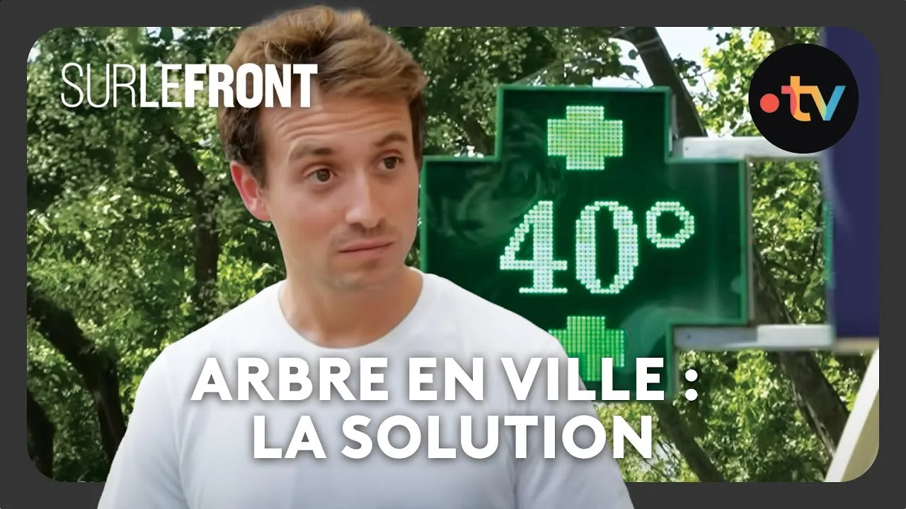 canicule de juin : la france face à un Épisode météorologique historique